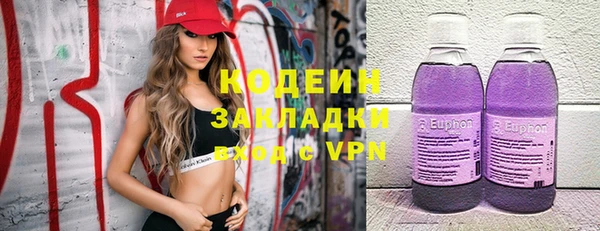 ГАЛЛЮЦИНОГЕННЫЕ ГРИБЫ Няндома