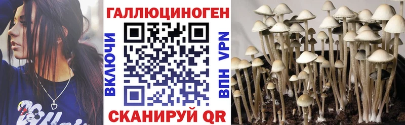Псилоцибиновые грибы MAGIC MUSHROOMS  наркошоп  Пенза 