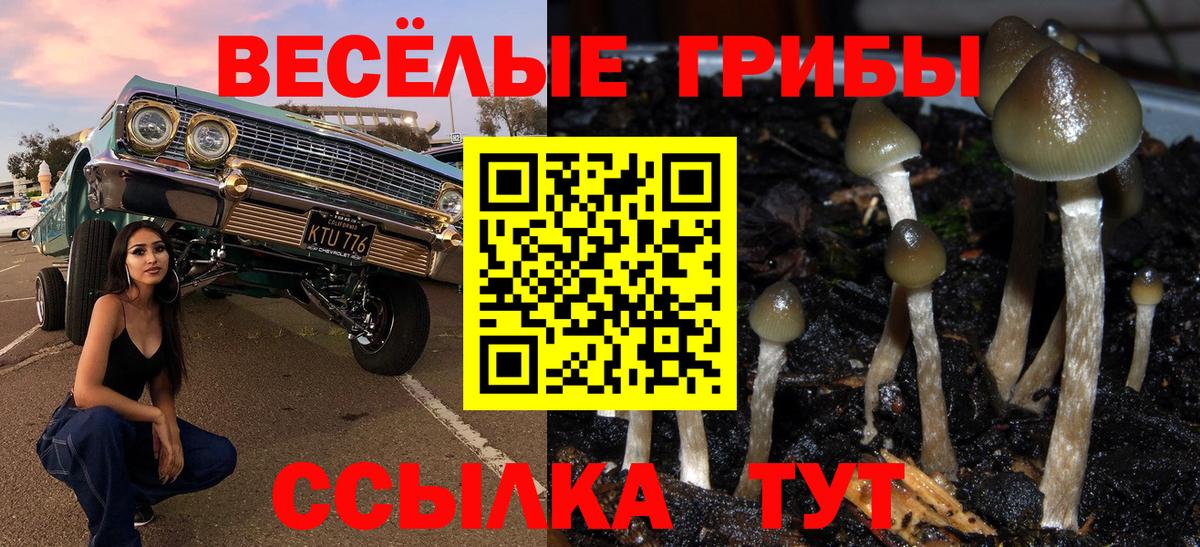Псилоцибиновые грибы GOLDEN TEACHER  купить наркоту  Пенза  Псилоцибиновые грибы мицелий  Вход с VPN 