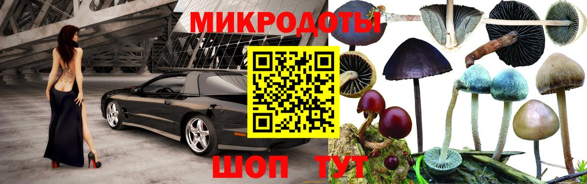 Галлюциногенные грибы мицелий Пенза