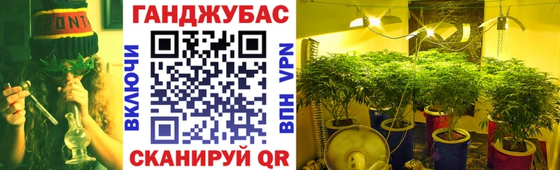 Каннабис OG Kush Пенза