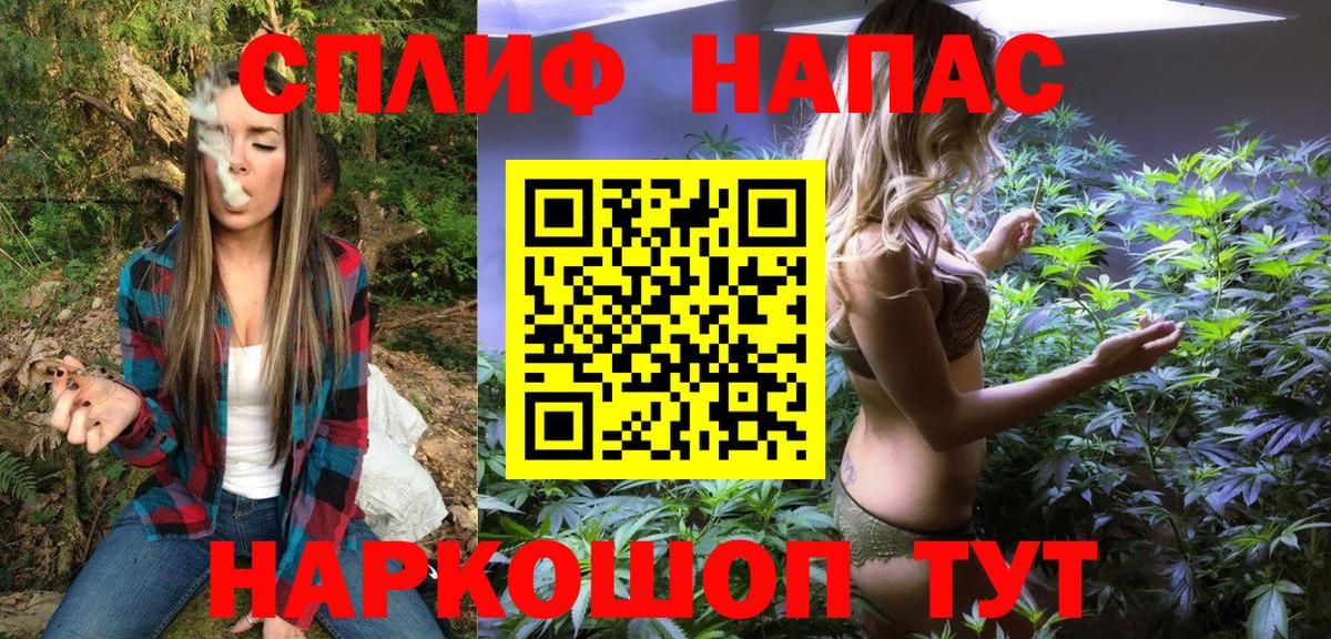 Канабис VHQ Пенза